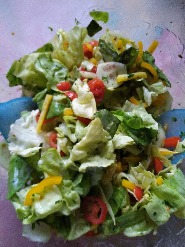 Kleiner Gemischter Salat, mit Joghurt Dressing von hexen | Hochgeladen von: hexen