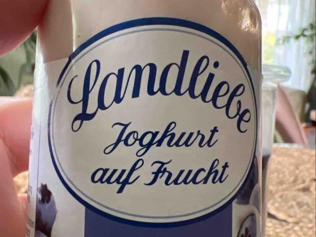 Landliebe Joghurt auf Frucht Heidelbeere von tussideluxe | Hochgeladen von: tussideluxe