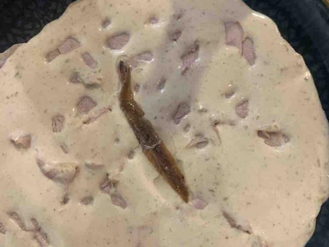 Vitello Tonnato von FrlUschi | Hochgeladen von: FrlUschi