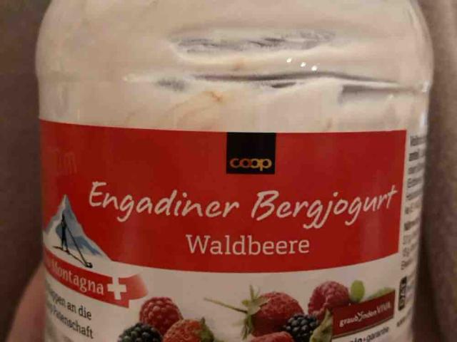 Engadiner Bergjogurt, Waldbeeren von janasophiah | Hochgeladen von: janasophiah