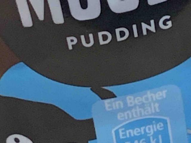 Muudy Pudding Schoko Leicht von Enilec116 | Hochgeladen von: Enilec116