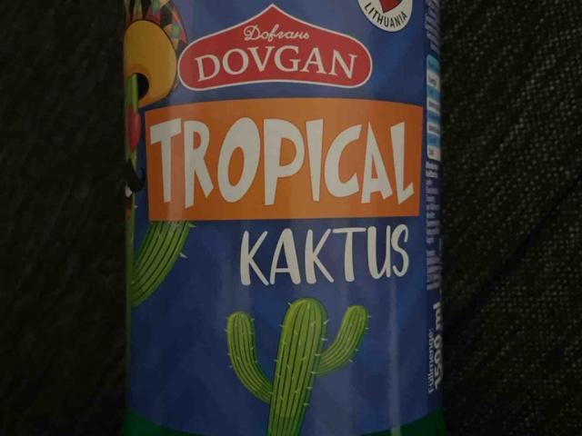 Tropical Kaktus von davidds | Hochgeladen von: davidds