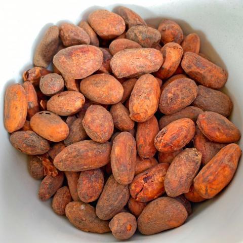 Kakaobohnen Rohkost Criollo Bio | Hochgeladen von: Devayani