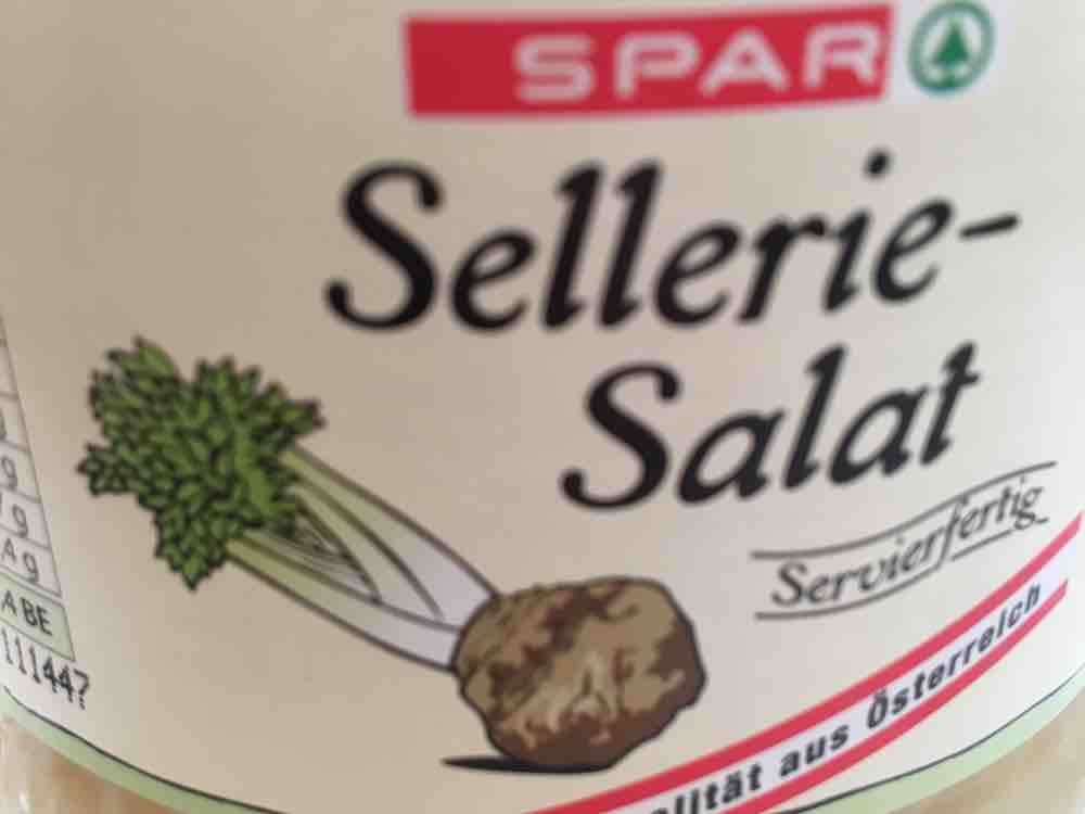 Selleriesalat von pezzl | Hochgeladen von: pezzl
