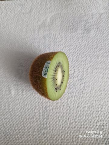 Kiwi, green von Evelyn.Stlg | Hochgeladen von: Evelyn.Stlg