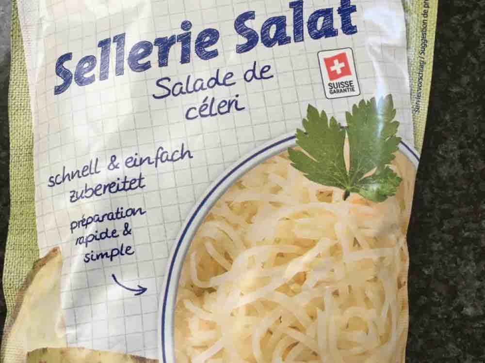 Sellerie  Salat von Mirjhari | Hochgeladen von: Mirjhari