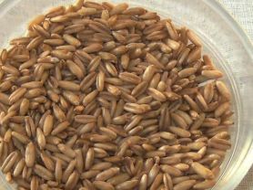 Hochgeladen von: Meleana