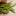 Stangenbohnen grün, roh, | Hochgeladen von: maeuseturm