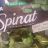 Junger Spinat von Mirj45 | Hochgeladen von: Mirj45