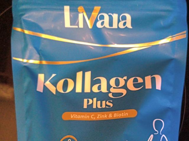 Hochgeladen von: Sherchen Hochgeladen von: Sherchen