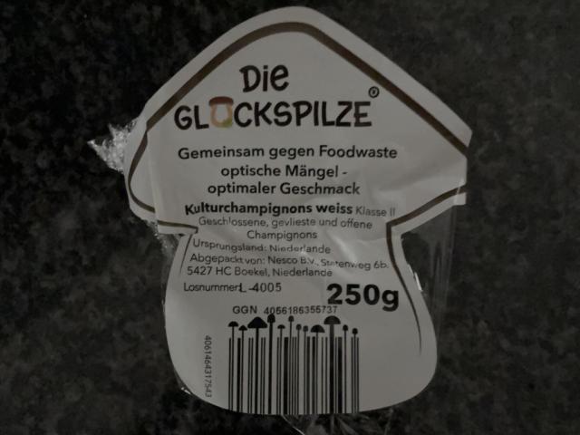 Hochgeladen von: janasst
