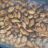 Bio Wilde Erdnüsse, ungeröstet von samako | Hochgeladen von: samako