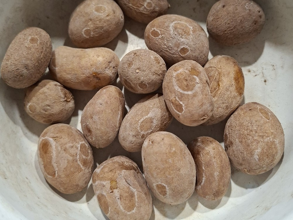 Hochgeladen von: Carmen.Engelhardt@gmx.net