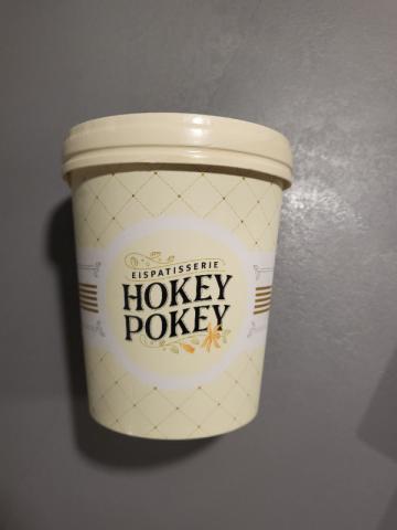 hokey pokey eis by Tllrfl | Uploaded by: Tllrfl