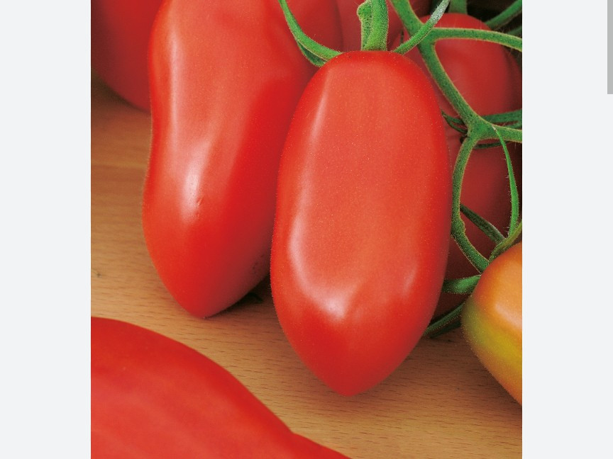 Hochgeladen von: Karin Stöhr