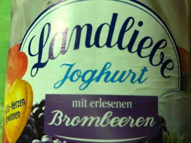 Joghurt mit erlesenen Brombeeren von hafreudi459 | Hochgeladen von: hafreudi459