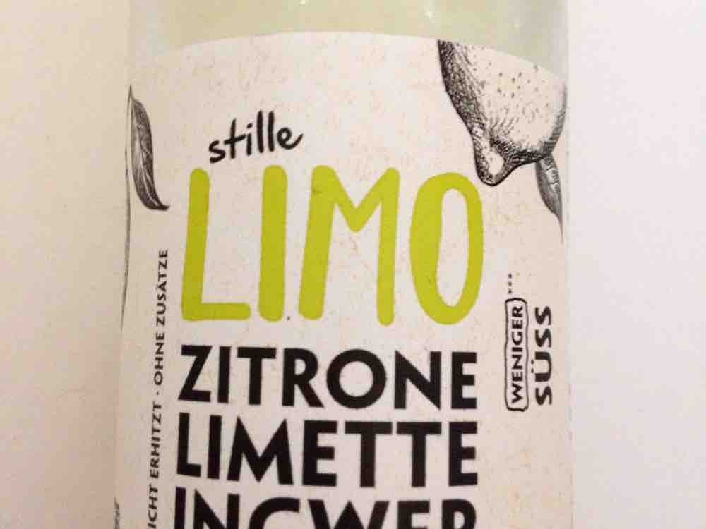Stille Limo, Zitrone Limette Ingwer von enco | Hochgeladen von: enco