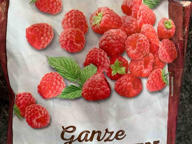 Beste Ernte Ganze Himbeeren von Venicebeach | Hochgeladen von: Venicebeach