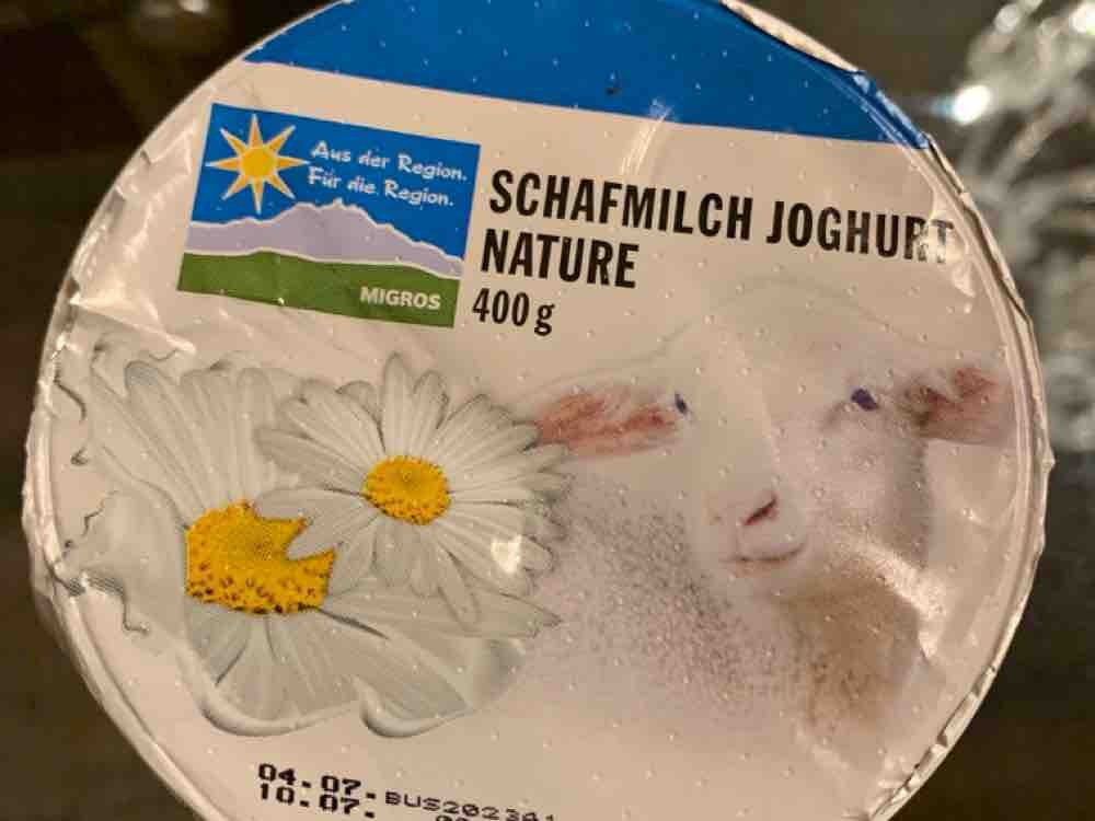 Schafmilch Joghurt Nature von IreneMaria | Hochgeladen von: IreneMaria