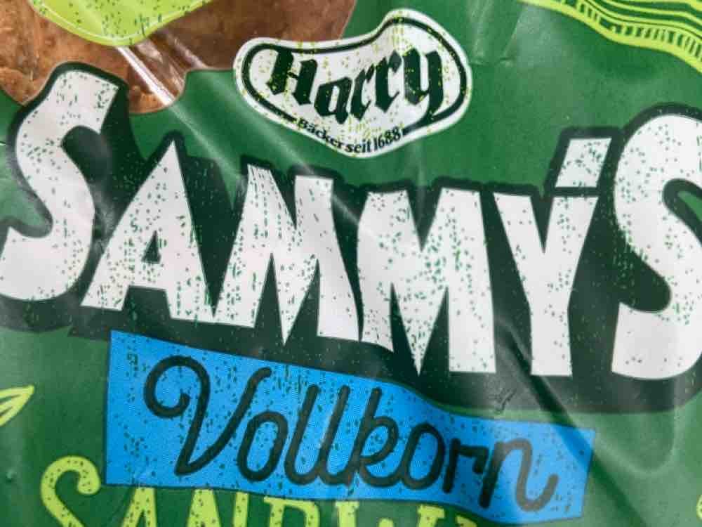 Sammy?s Vollkorn Sandwich von maximilianreichwald | Hochgeladen von: maximilianreichwald