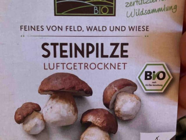 Steinpilze luftgetrocknet von tinostein3112 | Hochgeladen von: tinostein3112