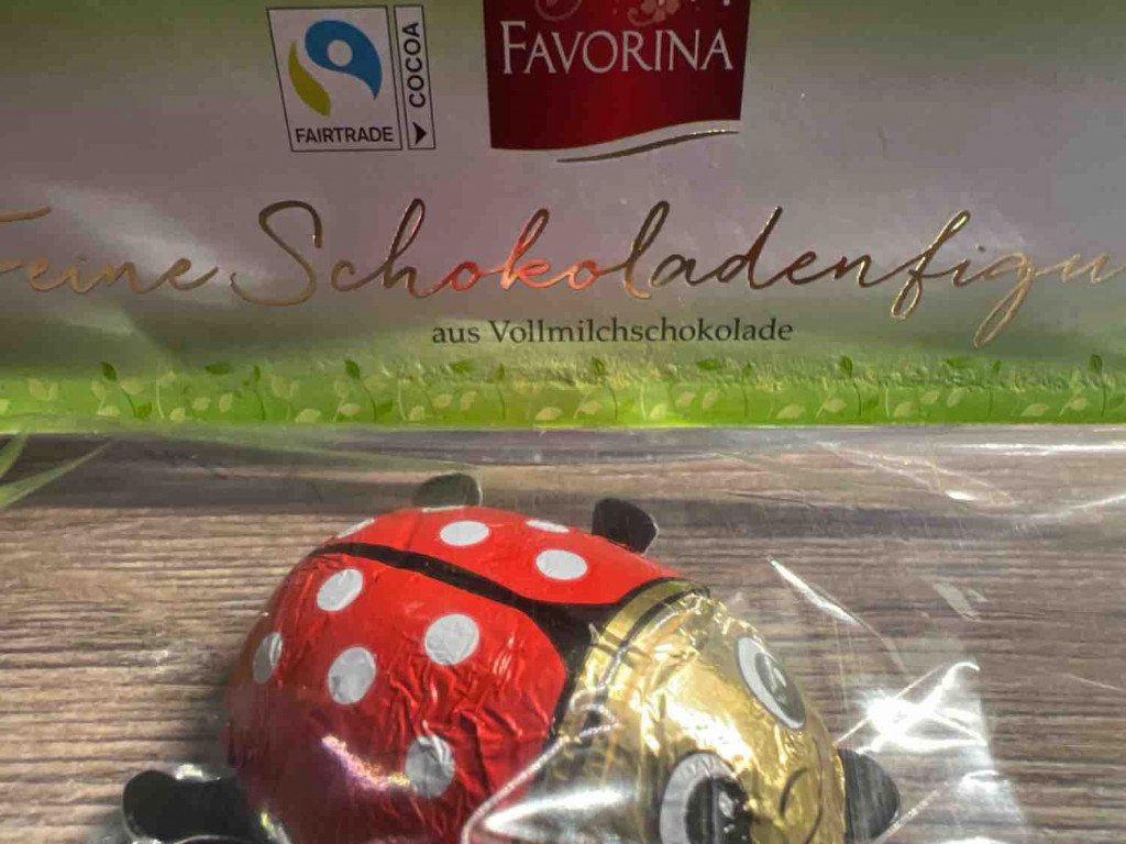 Schokoladen Käfer, Vollmilch von Lizzie05 | Hochgeladen von: Lizzie05
