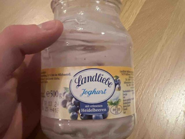 Joghurt, mit erlesenen Heidelbeeren von konstantinotmarheinz1 | Hochgeladen von: konstantinotmarheinz1