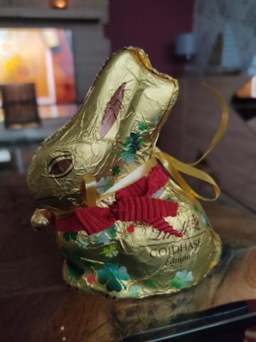 Lindt Goldhase von Hafengasse | Hochgeladen von: Hafengasse