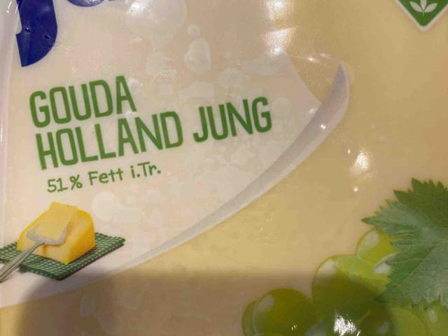 Gouda Holland Jung, 51% Fett von marvinkp | Hochgeladen von: marvinkp