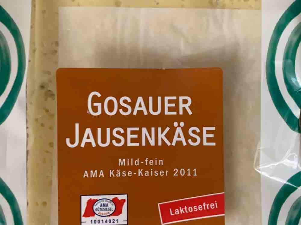 Gosauer Jausenkäse, mild-fein von Mexx06 | Hochgeladen von: Mexx06