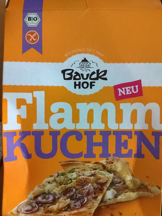 Flammkuchen, glutenfrei von lexispunk | Hochgeladen von: lexispunk