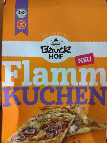 Flammkuchen, glutenfrei von lexispunk | Hochgeladen von: lexispunk