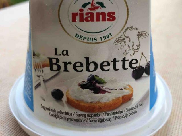 La Brebette , Frischkäse aus 100% Schafsmilch von Wieselopfer | Hochgeladen von: Wieselopfer