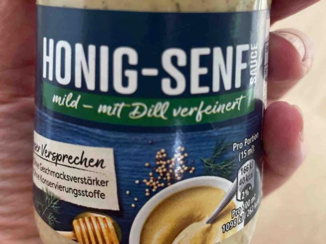 Honig-Senf Sauce, mild - mit Dill verfeinert by HannaSAD | Uploaded by: HannaSAD