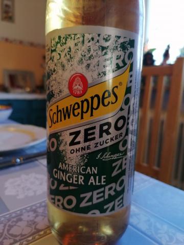 American Ginger Ale Zero by PapaJohn | Uploaded by: PapaJohn