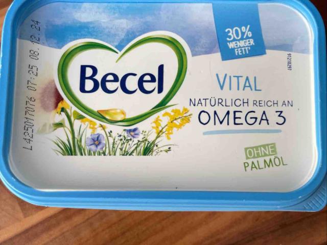 Becel VITAL NATÜRLICH REICH AN OMEGA 3 von Bachi130576 | Hochgeladen von: Bachi130576