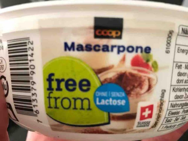 freedom Mascarpone, ohne Laktose von widman | Hochgeladen von: widman