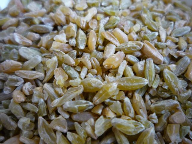 Freekeh, sonnengetrockneter  | Hochgeladen von: pedro42