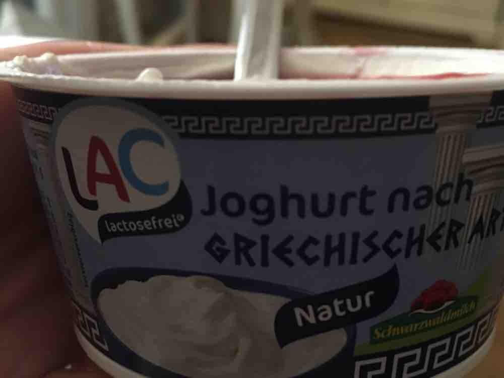 Joghurt nach Griechischer Art, laktosefrei  von aida | Hochgeladen von: aida