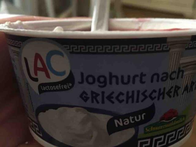 Joghurt nach Griechischer Art, laktosefrei  von aida | Hochgeladen von: aida