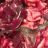 Rote Beete Salat, mit Äpfeln von Zibbel71 | Hochgeladen von: Zibbel71