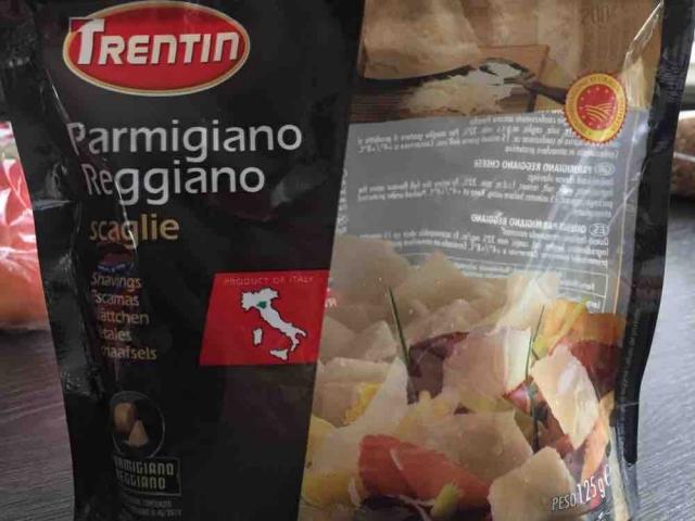 Parmigiano Reggiano von storchenvogel | Hochgeladen von: storchenvogel
