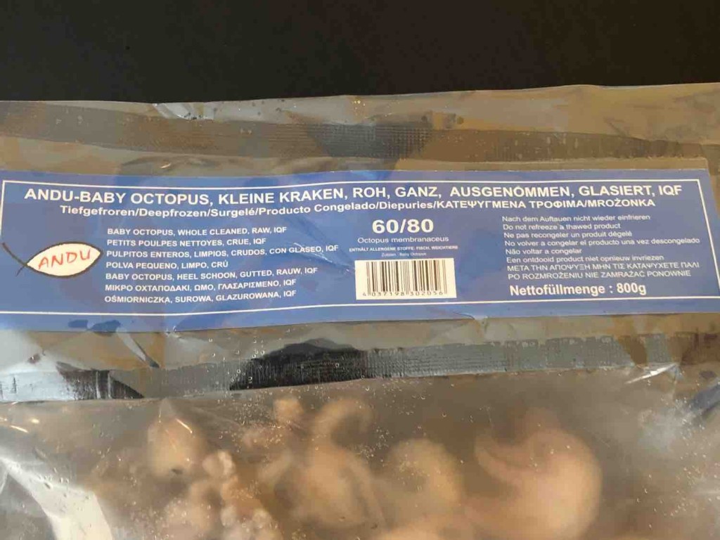 Octopus Kraken, klein Roh 60/80 von amx | Hochgeladen von: amx