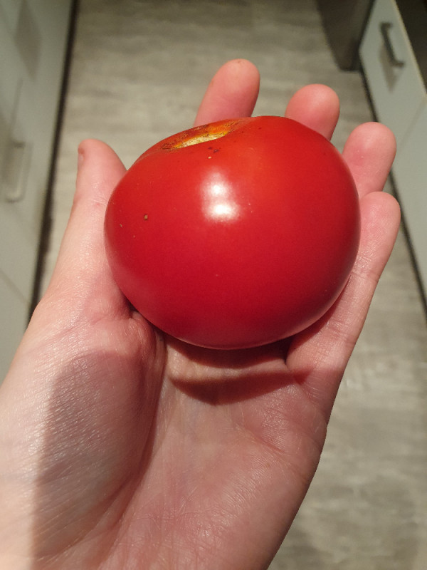 tomate von juliswelt473 | Hochgeladen von: juliswelt473