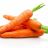 Karotten / Möhren, frisch | Hochgeladen von: Ennaj