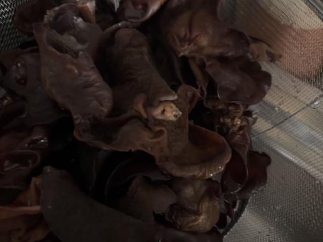 Hochgeladen von: Oulisse