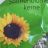 Sonnenblumenkerne by RBL4EVER | Hochgeladen von: RBL4EVER