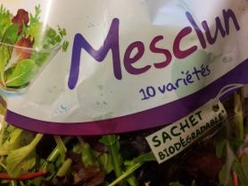 Bonduelle Mesclun Salat (Mischung mit 10 div. Jungsalaten) | Hochgeladen von: jetztaberrichtig