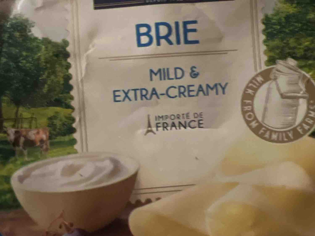 Brie, mild von doroo71 | Hochgeladen von: doroo71