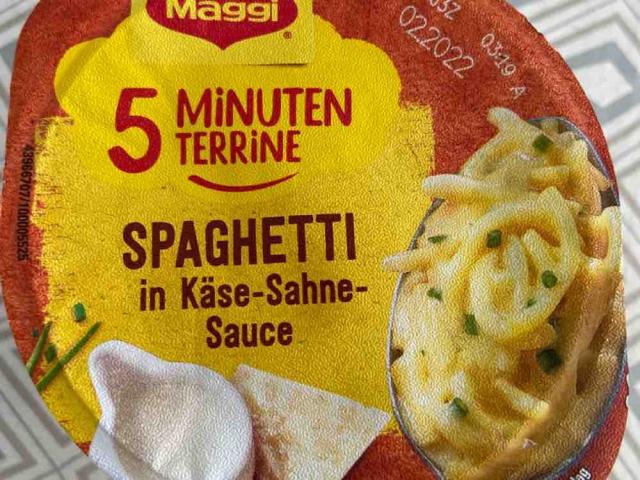 5 Minuten Terrine, Spaghetti in Käse-Sahne Sauce von TobiasOha | Hochgeladen von: TobiasOha